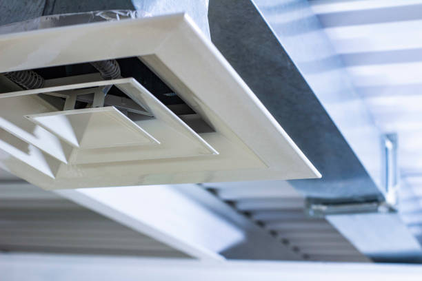Best Duct Cleaning Specialists  in Douglas, MI