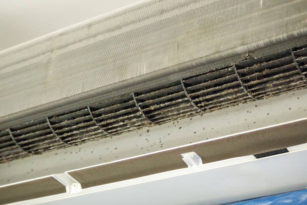 Best Air Duct Cleaning Near Me  in Douglas, MI